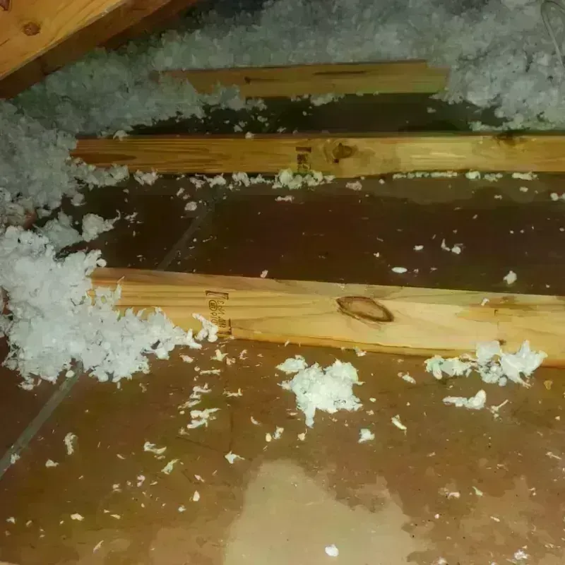 Attic Water Damage in Heath, TX