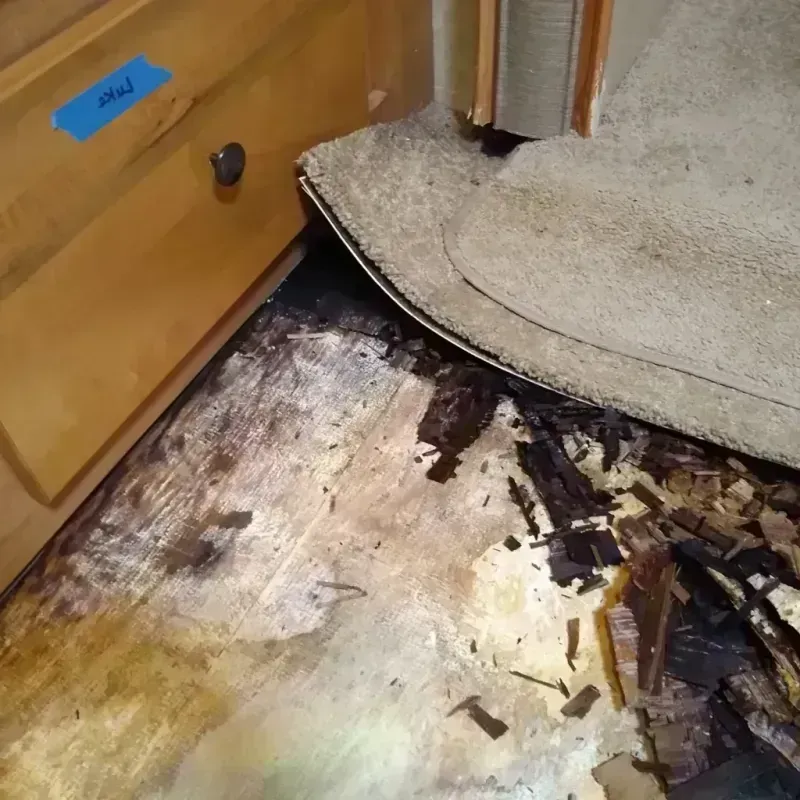 Wood Floor Water Damage in Heath, TX